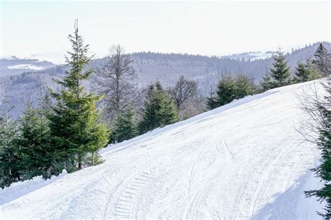 Y aura t il de la neige à Noël Radio Mélodie