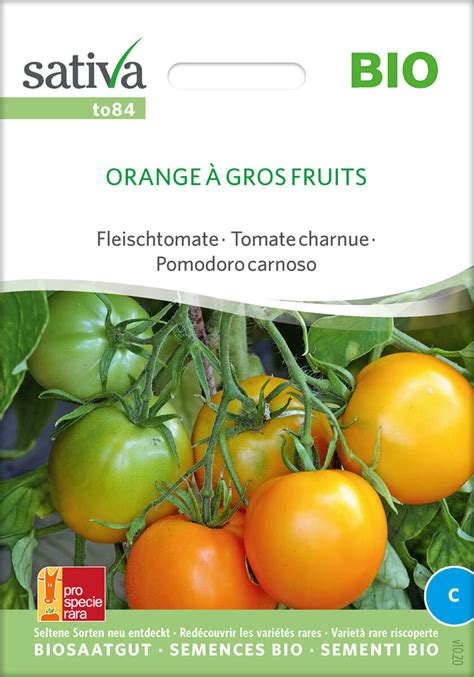 Orange À Gros Fruits Fleischtomaten BIO Samen Saatgut kaufen 3 23