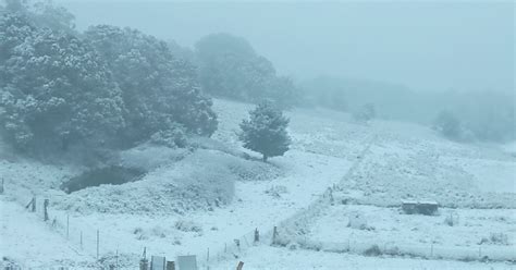 Australian floods turn fatal as Sydney shivers through cold snap | Reuters