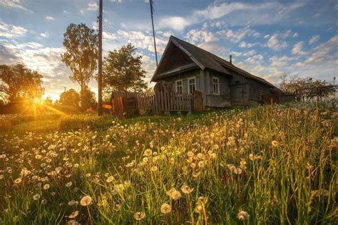 Летнее утро в деревне - фото и картинки: 78 штук