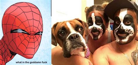 The Fuck Is Wrong With People R Memes