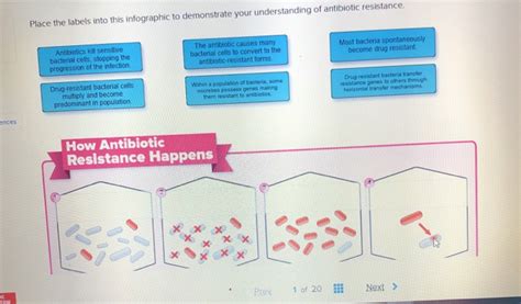 Solved Place The Labels Into This Infographic To Demonstrate Chegg