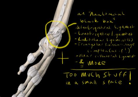 Why Does The Pinky Side Of My Wrist Hurt Braithwaite Physiotherapy