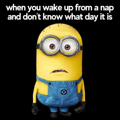 40 Best Nap Memes About Those Mid Day Sleeps