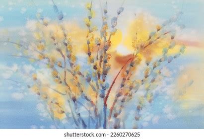 Pussy Willow Twigs Blue Yellow Watercolor Stock Illustration 2260270625 Shutterstock