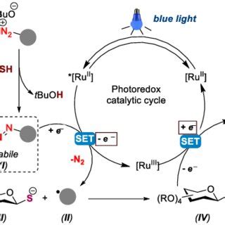 A proposed mechanism | Download Scientific Diagram 