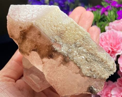 Dreamsicle Pink Lemurian Quartz Crystal Lemurian Seed Quartz Pink