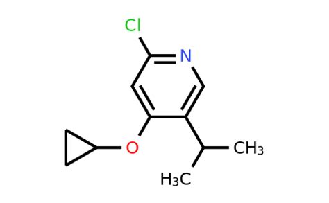 CAS 1243444 37 2 2 Chloro 4 Cyclopropoxy 5 Propan 2 YL Pyridine