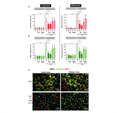 Quantification Of Neutrophil Extracellular Trap Net Formation By