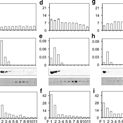 Transactivation Of HIV 1 LTR Promoter By Exosomes Derived From