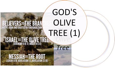 The Revelation Of Jesus Christ Gods Olive Tree 1