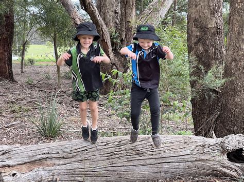 Bush Kindy Gardens Early Learning