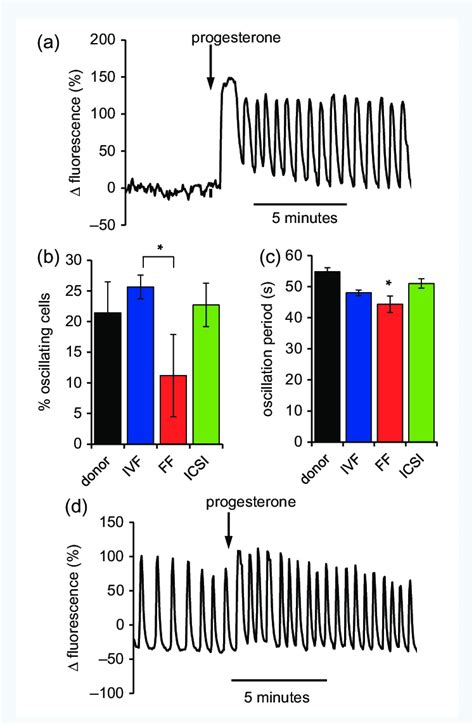 Calcium Oscillations In Progesterone Stimulated Cells A