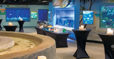 Newport Aquarium - Newport, KY - Wedding Venue