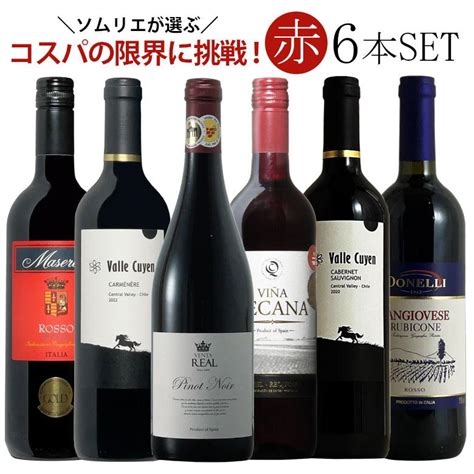 ワイン ワインセット 【限界コスパ】ソムリエ厳選赤ワイン6本飲み比べ 送料無料 10005900ワインの専門店ヴィネクシオ Yahoo店