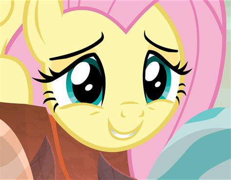 2284513 Safe Screencap Fluttershy Pegasus Pony G4 Sweet And