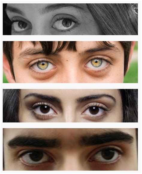 Post Typical Ethnic Eye Shapes 👁 Anthroscape