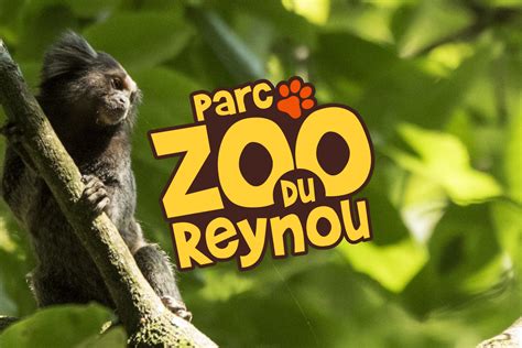 Dierentuin Parc Zoo Du Reynou Kinderactiviteit La Bastide