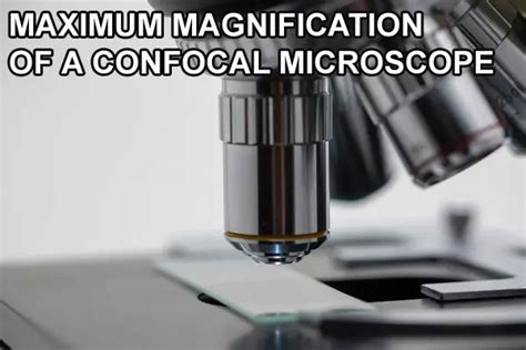 What Is The Maximum Total Magnification For A Light Microscope