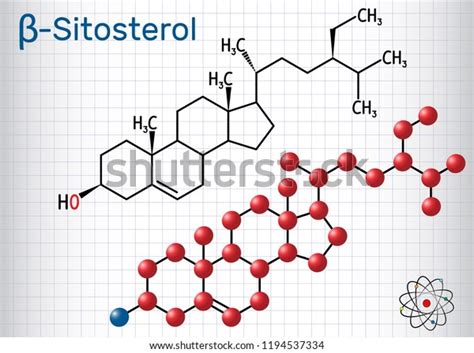 Betasitosterol Molecule Phytosterols Plant Sterols Structural 库存矢量图（免版税 ...