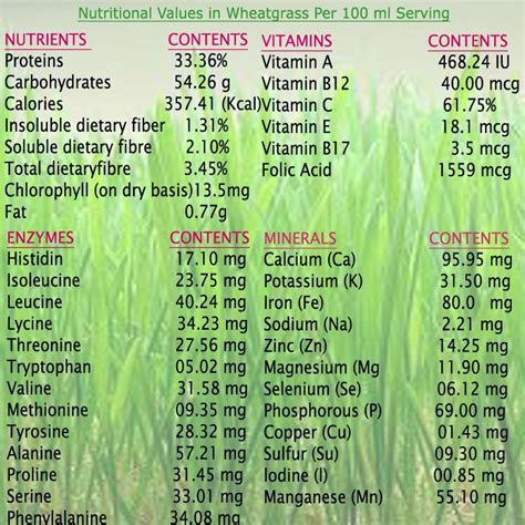 Nutritional Values In Wheatgrass Juice Wheat Grass Nutrition