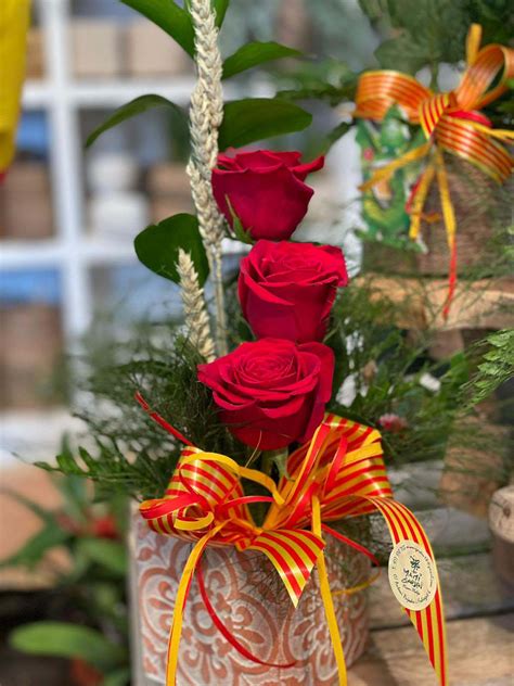 Celebra Sant Jordi Amb Miami Garden A Tarragona Miami Garden