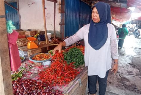 Harga Cabai Tembus Rp 80 Ribu Di Kepahiang Dari Petani Ke Pengepul Rp