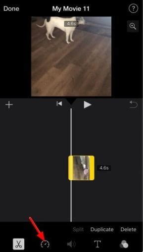 Cara Mudah Membuat Video Time Lapse Di Imovie