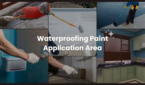 Using Wall Waterproofing Paint Importance And Steps Guide