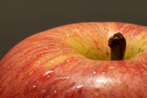 Gambar Apel Menanam Buah Daun Bunga Makanan Merah Menghasilkan