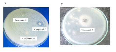 A Zone Of Inhibition Observed Against Staphylococcus Aureus By Three