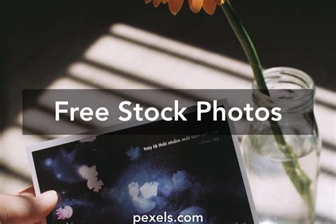 Hand Holding A Postcard Photos Download The Best Free Hand Holding A