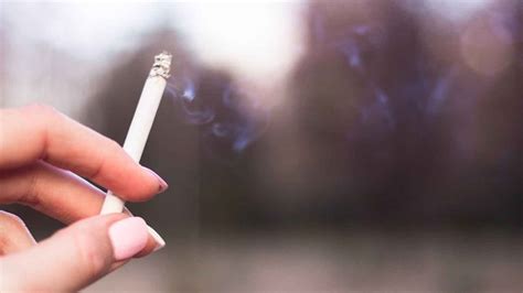 Nueva Zelanda Dice Adi S Al Tabaco Prohibir Fumar A Los Nacidos A