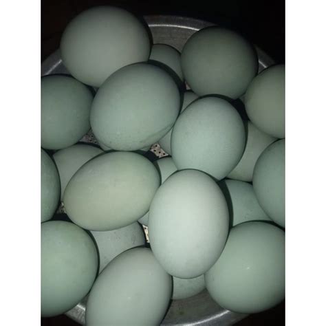 Jual Telor Asin Oleh Oleh Khas Brebes Shopee Indonesia