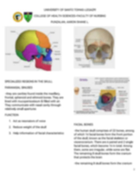 SOLUTION Anaphy Axial Skeleton Studypool