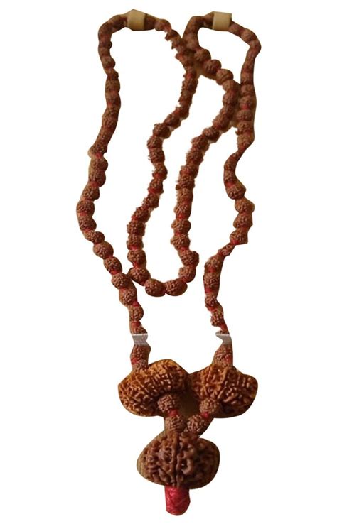 Brown Rudraksha Combination Mala Spiritual Use Pooja At Rs 20000 In Thane