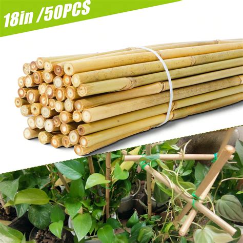 pcs  bamboo plant stakes  indoor outdoor plants