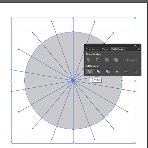 How To Create A Pie Chart In Adobe Illustrator Vector Cove