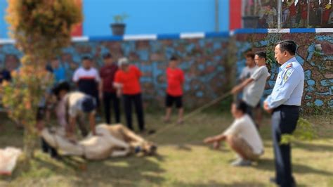 Rayakan Idul Adha H Lapas Narkotika Kelas Iia Pematangsiantar