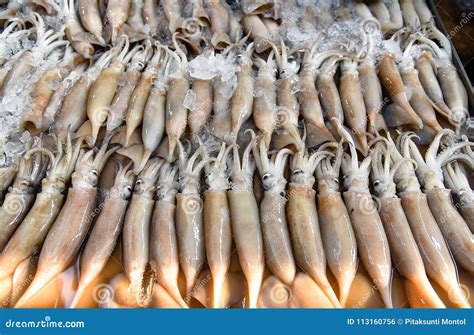 Squid In The Market Stock Photo Image Of Nature Gourmet