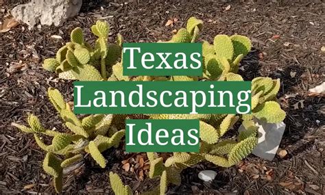 Texas Landscaping Ideas Gardenprofy