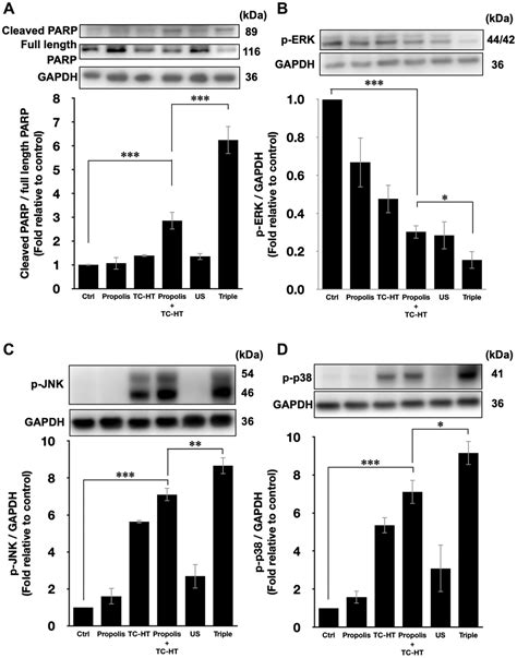 Study On The Effect Of A Triple Cancer Treatment Of Propolis Thermal