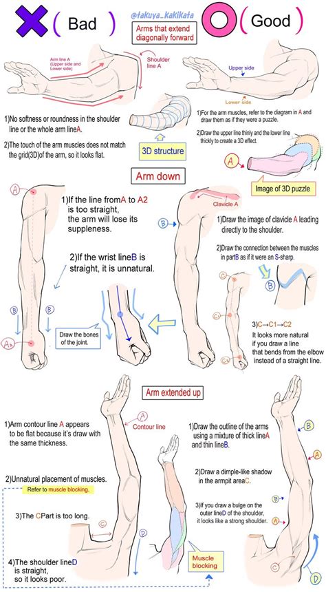 Pin By Imaginer8th On Takuya Kakikata Anatomy For Artists Body