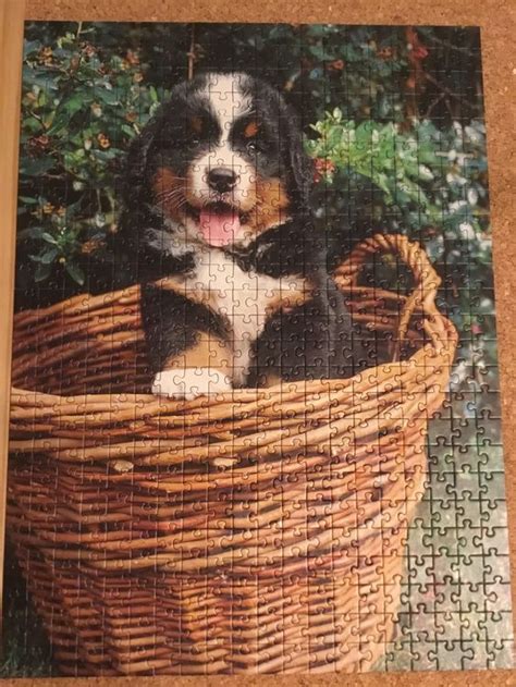 Ravensburger Puzzle Berner Sennenhund Welpe Kaufen Auf Ricardo