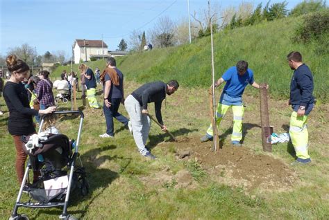 Saint Sever Lop Ration Une Naissance Un Arbre Bient T De Retour