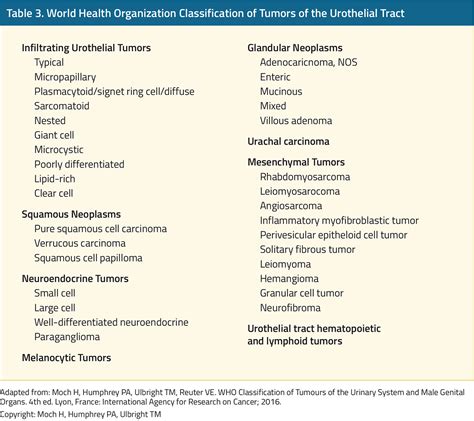 Bladder Cancer