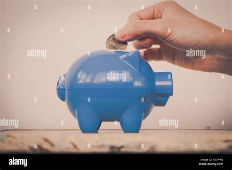 Adding Coins To The Piggy Bank Stock Photo Alamy