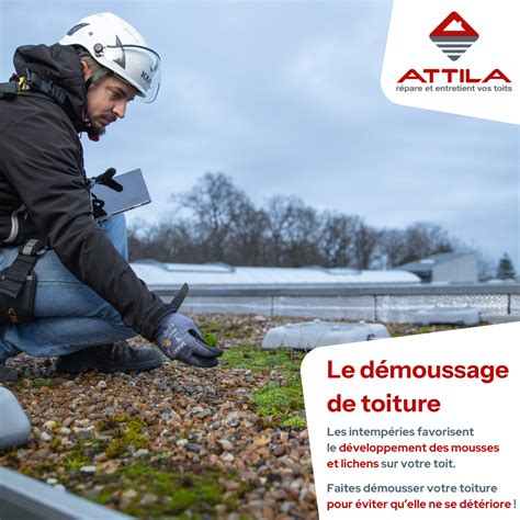 Faites Demousser Vos Toits Par Attila Anglet Attila