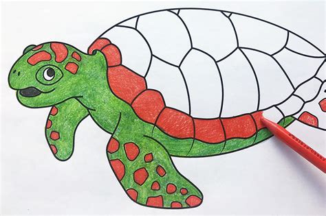 Sea Turtles | Free Printable Templates & Coloring Pages | FirstPalette.com