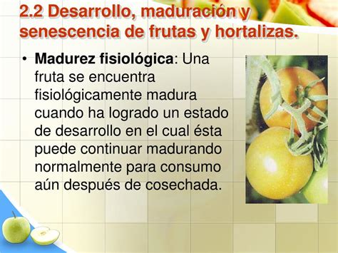 PPT Unidad II Eco fisiología de poscosecha de frutas y hortalizas